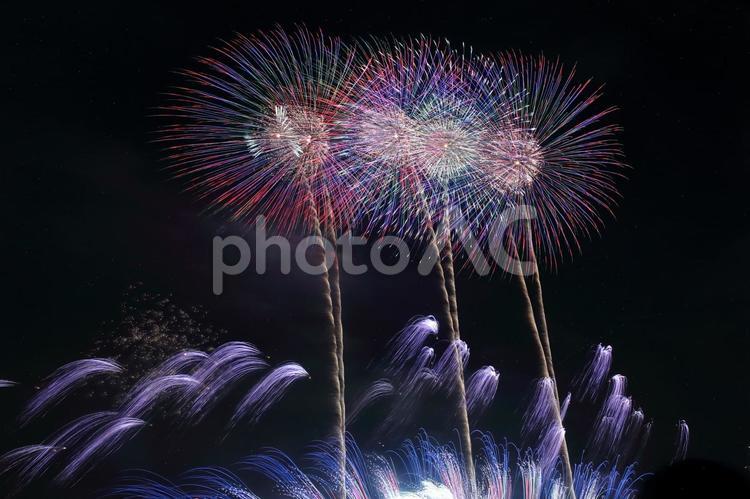 なにわ淀川花火大会2024 なにわ淀川花火大会,花火,2024の写真素材