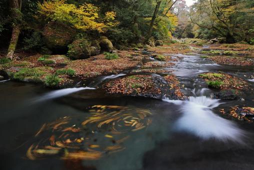 菊池渓谷 菊池渓谷,熊本県,渓流の写真素材