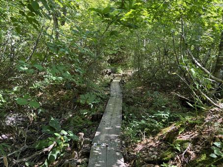 夏の鎌池 長野県小谷村 夏の鎌池 長野県小谷村 鎌池,夏,長野県の写真素材