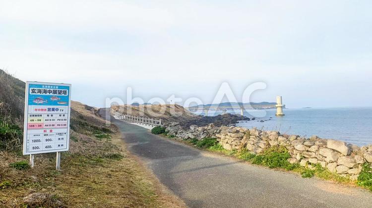 波戸岬の夕暮れ遊歩道 波戸岬,遊歩道,夕暮れの写真素材