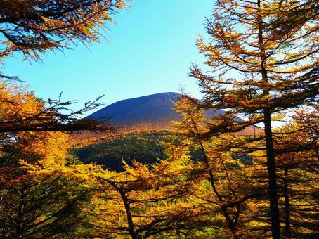 紅葉(黒斑山・浅間山) 紅葉(黒斑山・浅間山) 紅葉,もみじ,秋の写真素材