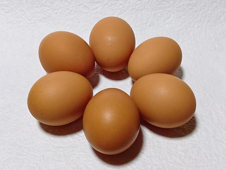 赤たまご 卵,たまご,生卵の写真素材