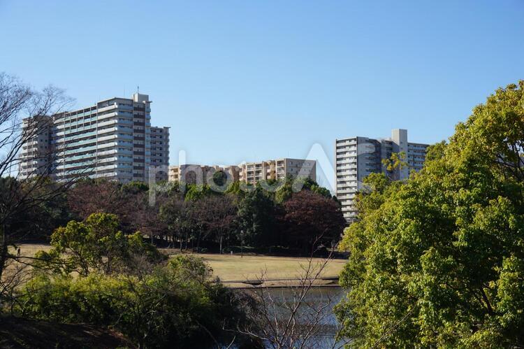 多摩中央公園と集合住宅 多摩センター,多摩中央公園,公園の写真素材