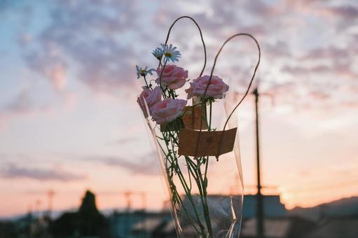 Photo, flower, sunset, evening, 