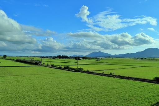 夏空と電車と田園風景 夏空,田園風景,電車の写真素材