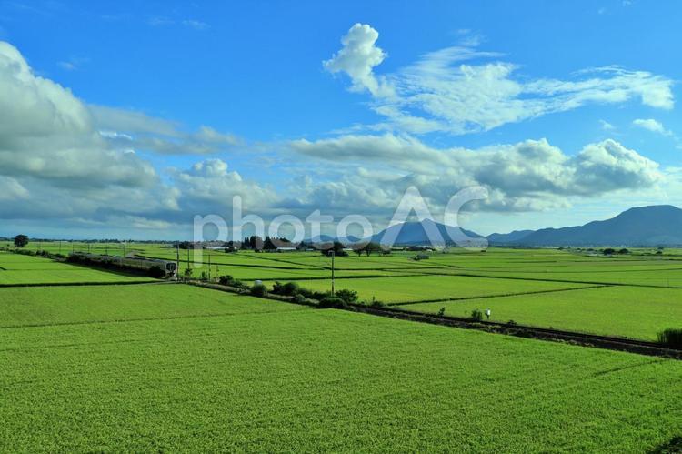 夏空と電車と田園風景 夏空,田園風景,電車の写真素材
