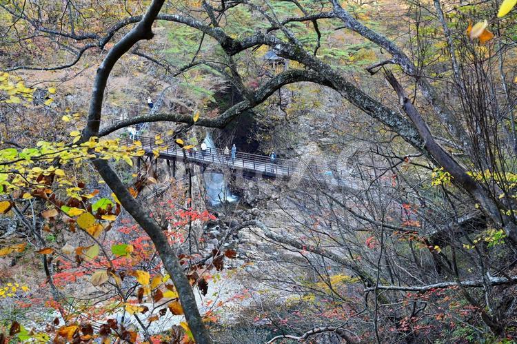 秋の龍王峡Ⅱ（栃木日光鬼怒川） 秋,紅葉,峡谷の写真素材
