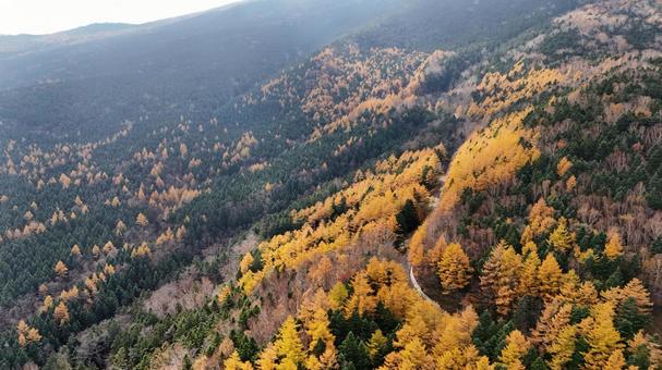 山紅葉002 山,紅葉,山紅葉の写真素材