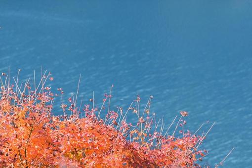 季節の変わり目 季節の変わり目の写真