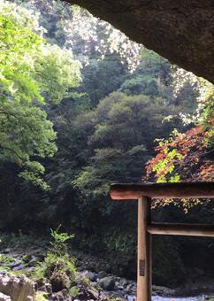 高千穂の紅葉 高千穂,紅葉,鳥居の写真素材