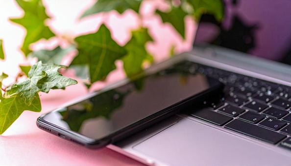 スマートフォンとノートパソコン　アイビーの写真