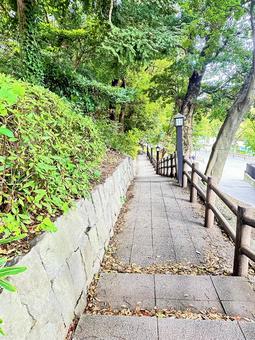 上野公園 東京都台東上野 上野公園 東京都台東上野の写真