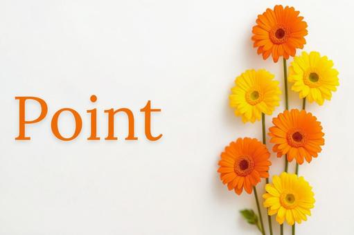 POINT POINT の写真