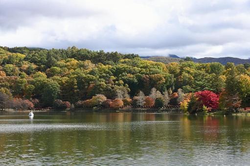 長野県の蓼科湖と湖畔の紅葉の風景の写真