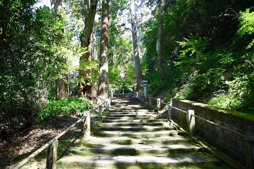医王山 油山寺参道 医王山 油山寺参道の写真
