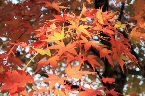 紅葉 水彩画風(画像デフォルメ) 紅葉 水彩画風(画像デフォルメ) 紅葉,秋,もみじの写真素材