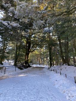 雪景色 雪景色の写真