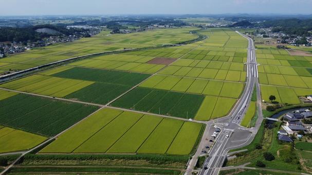 田園 田園 田園,たんぼ,稲の写真素材