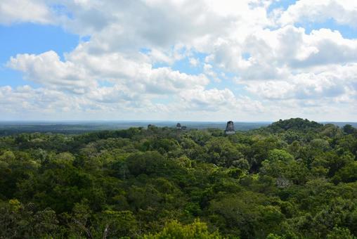 密林に浮かぶティカル遺跡 ティカル遺跡,マヤ文明,遺跡の写真素材