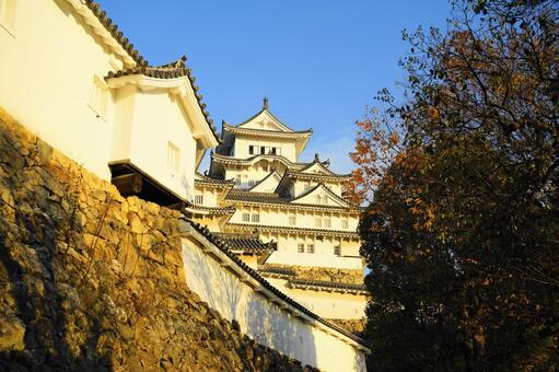 世界文化遺産　茜色の姫路城（白鷺城）６ 姫路城,白鷺城,城の写真素材