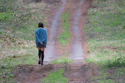 歩く 歩く 歩く,後ろ,後ろ姿の写真素材