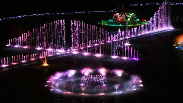 はままつフラワーパーク　イルミネーション イルミネーション,クリスマス,夜景の写真素材