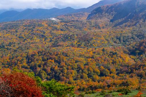 栗駒山 紅葉の広大な山並みの写真