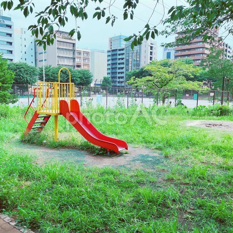 公園 公園,自然,遊び場の写真素材
