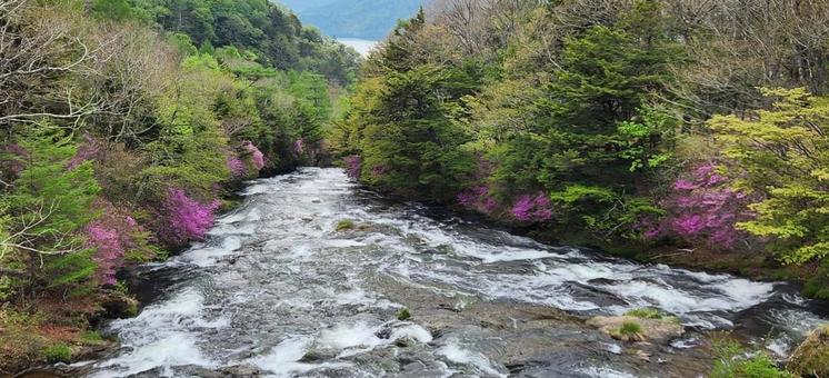 滝のある風景 滝のある風景の写真