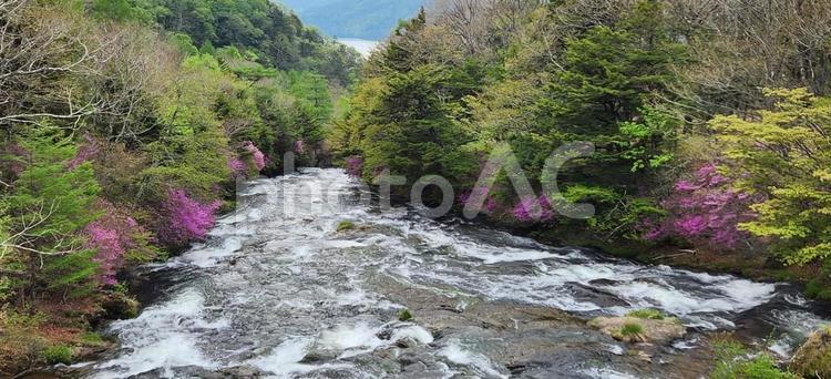 滝のある風景 滝,川,湖の写真素材