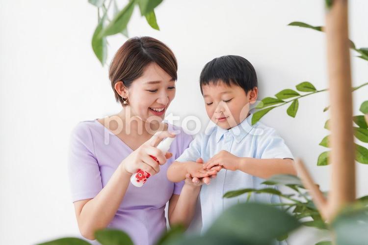 子どもにスプレーをするお母さん 手洗い,うがい,白バックの写真素材