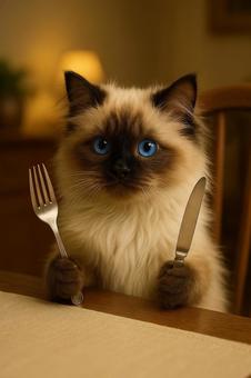 ナイフとフォークをもって食事を待つ猫 ナイフとフォークをもって食事を待つ猫の写真