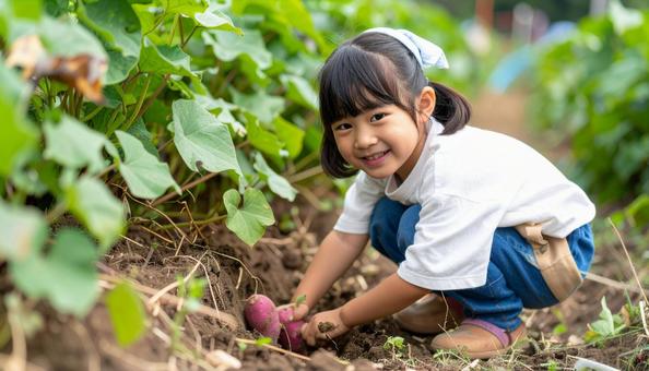 サツマイモ掘りをする子供 サツマイモ掘りをする子供の写真