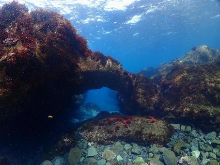 伊豆大島のアーチ アーチ,地形,伊豆大島の写真素材