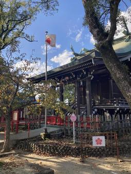 水田天満宮・靖国神社 水田天満宮,恋木神社,福岡県筑後市の写真素材