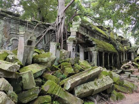 タ・プローム タ・プローム,タプローム,海外の写真素材