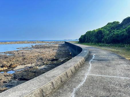 海岸 夏の海 磯 海岸 夏の海 磯 海,景色,岩の写真素材