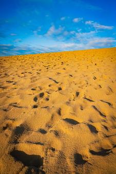 鳥取県　鳥取砂丘の風景 鳥取砂丘,日本の風景,自然の写真素材