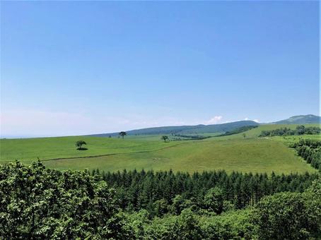 ナイタイ高原 ナイタイ高原の写真