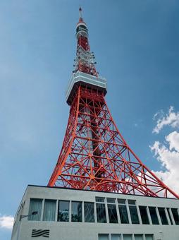 東京タワー 見上げて青空 縦構図 東京タワー 見上げて青空 縦構図の写真