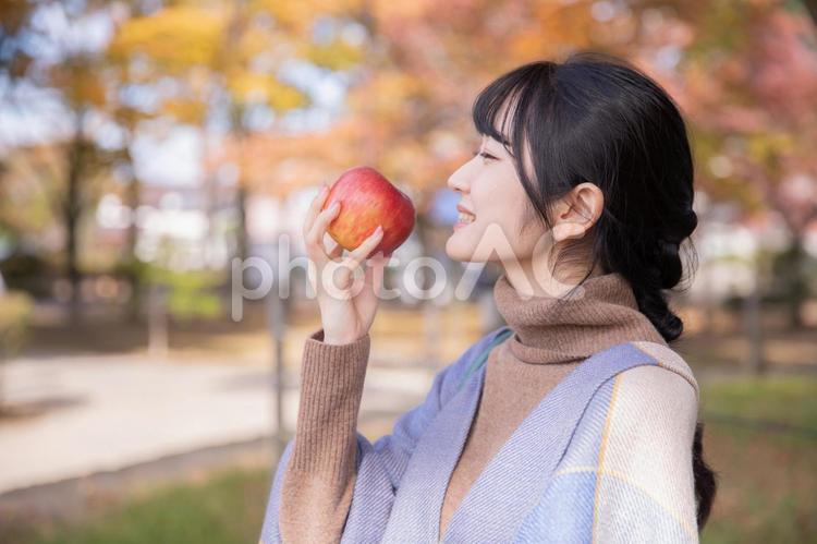 秋の公園でりんごを食べる女性（横顔） りんご,秋,林檎の写真素材