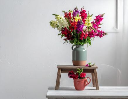 花 花の写真