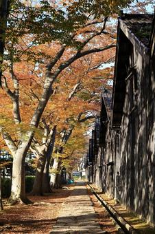 紅葉の山居倉庫 紅葉,秋,風景の写真素材