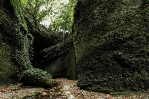 高知県安芸市 伊尾木洞 高知県安芸市 伊尾木洞 伊尾木洞,高知県,安芸市の写真素材