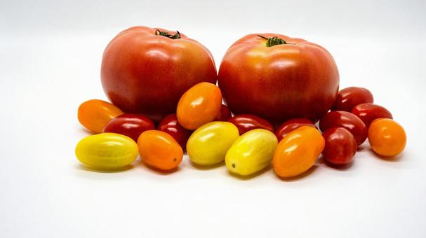 사진, 토마토, 생 토마토, 화려한 토마토, 