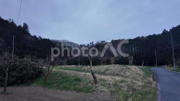 田舎の風景 田舎,風景,木の写真素材