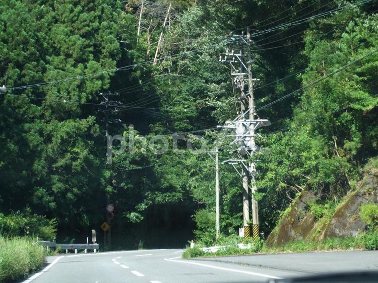 うっそうと木が茂るトンネル入り口 トンネル,道路,山の写真素材