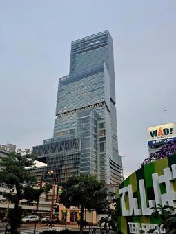 あべのハルカスとてんしば あべのハルカスとてんしば あべのハルカス,背景,天王寺の写真素材