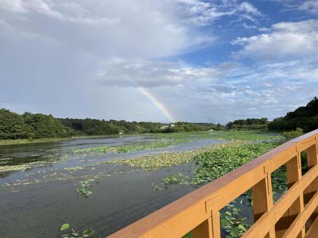 虹 虹,レインボー,rainbowの写真素材