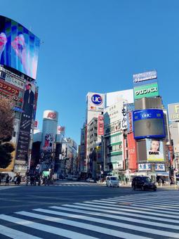 渋谷駅前 ビジネス,センター街,渋谷の写真素材